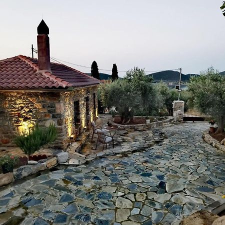Villa Elaion Thea2-Nies Sourpi Esterno foto