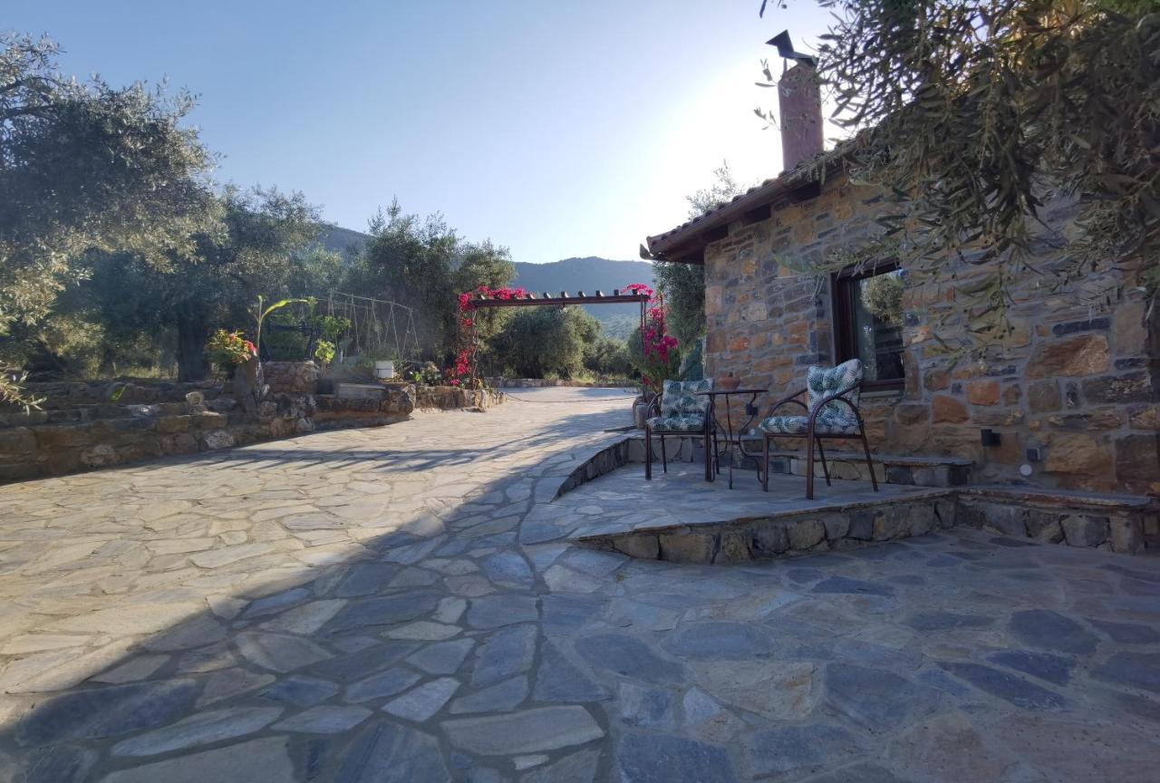 Villa Elaion Thea2-Nies Sourpi Esterno foto