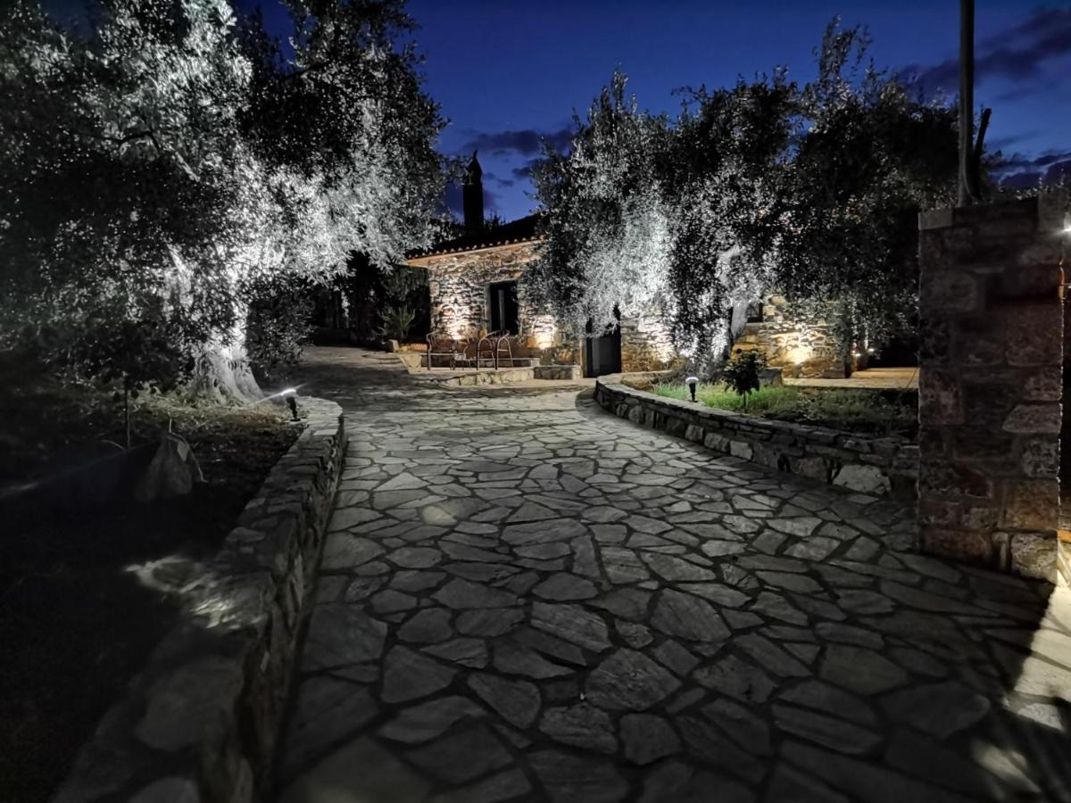 Villa Elaion Thea2-Nies Sourpi Esterno foto