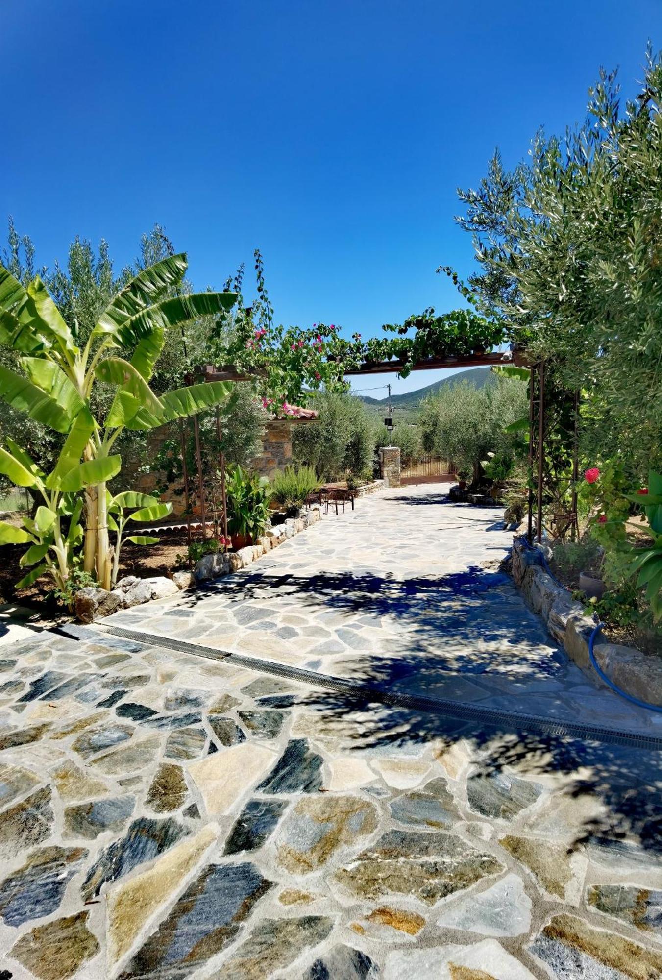 Villa Elaion Thea2-Nies Sourpi Esterno foto